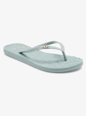 Roxy Antilles Flip Flops | OLTY-17695