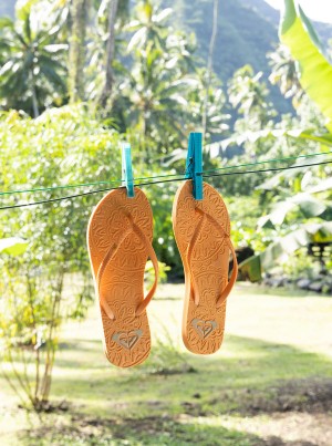 Roxy Antilles Flip Flops | VSFB-64217