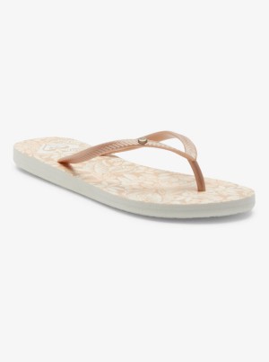 Roxy Bermuda Sandals | IEQT-63817