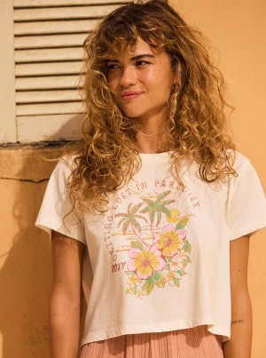 Roxy Hibiscus Paradise Cropped T Shirts | 57630MCHK