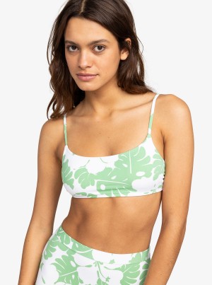 Roxy OG Bralette Bikini Tops | UVTA-34759