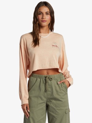 Roxy Palm Arcana Cropped Oversized Long Sleeve Hoodie | GVWD-58132