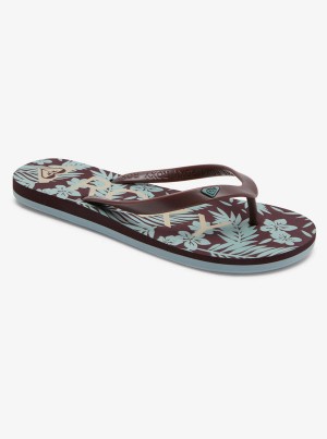 Roxy Tahiti Flip Flops | XKWC-96357