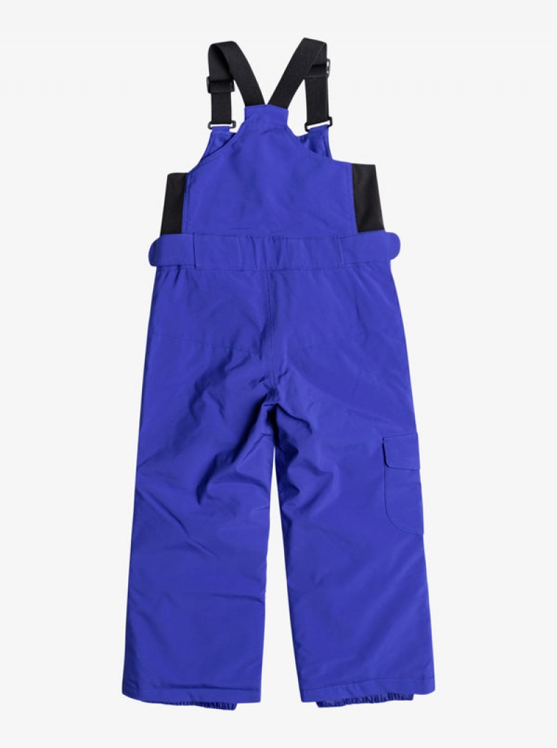 Girls'' Roxy Lola Technical Bib Snowboard Pants | RWXT-54607