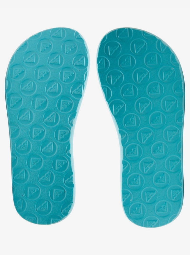 Girls'' Roxy Vista Flip Flops | DPVZ-69543