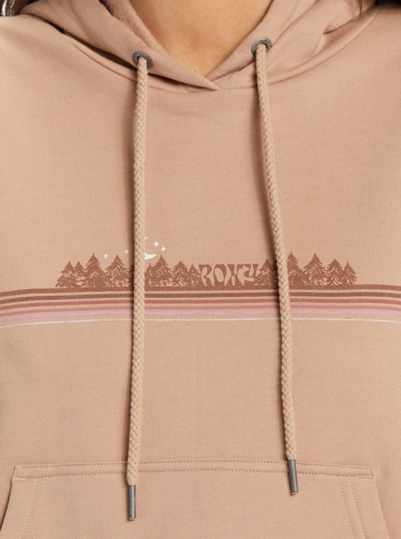 Roxy Afternoon Hike Hoodie | REKN-47360