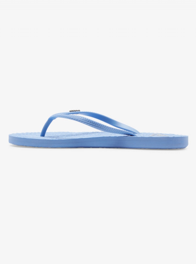 Roxy Antilles Flip Flops | NQUG-23580