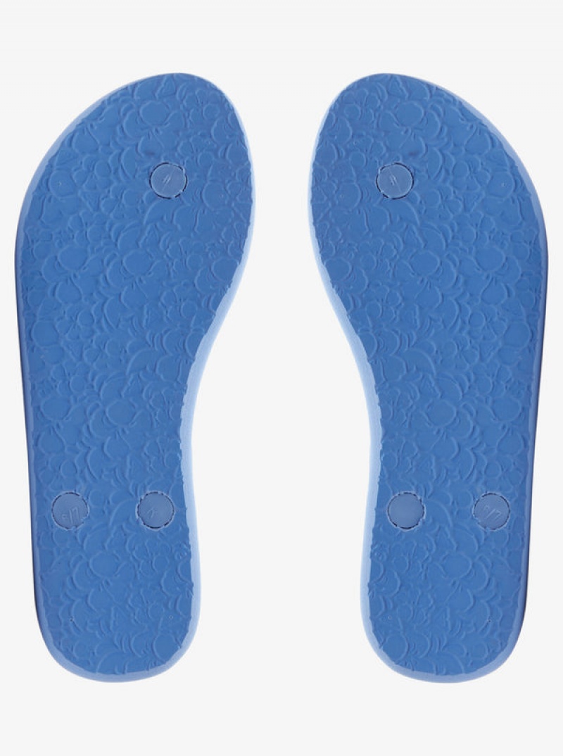 Roxy Antilles Flip Flops | NQUG-23580