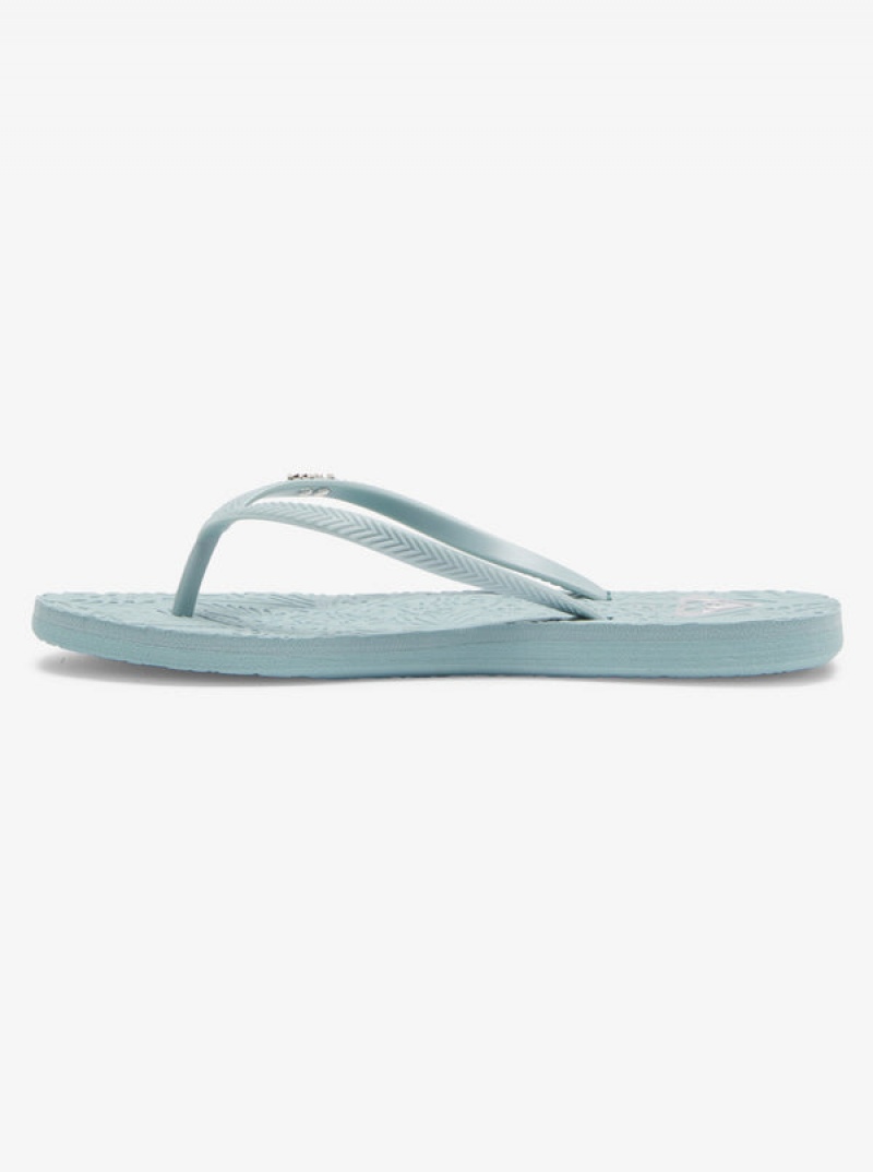 Roxy Antilles Flip Flops | OLTY-17695