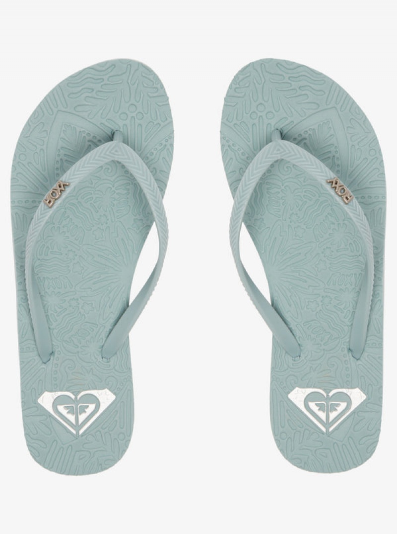 Roxy Antilles Flip Flops | OLTY-17695