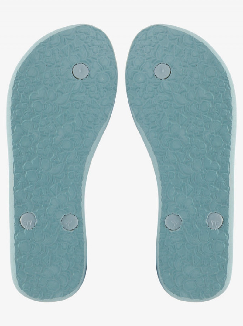 Roxy Antilles Flip Flops | OLTY-17695