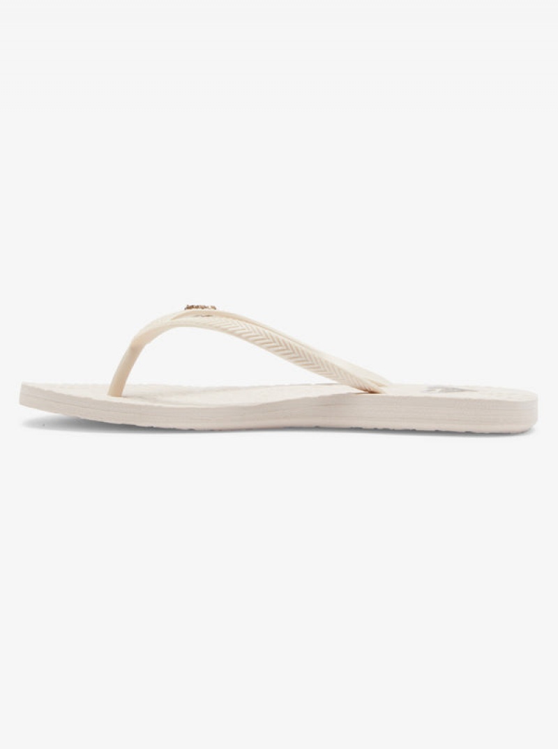 Roxy Antilles Flip Flops | RTWC-08296