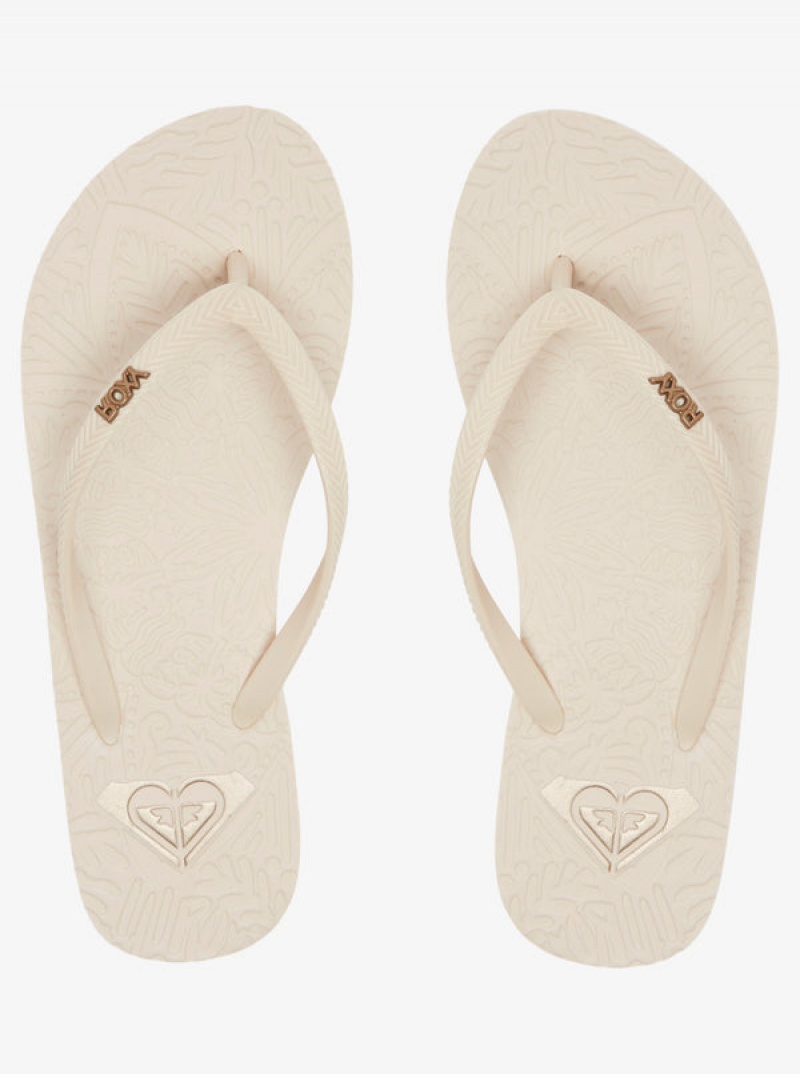 Roxy Antilles Flip Flops | RTWC-08296