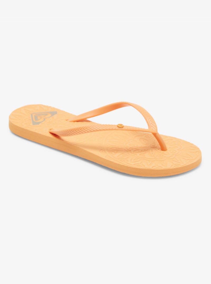 Roxy Antilles Flip Flops | VSFB-64217