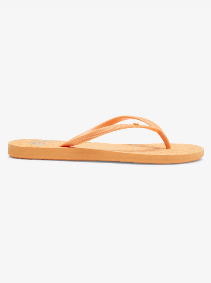 Roxy Antilles Flip Flops | VSFB-64217