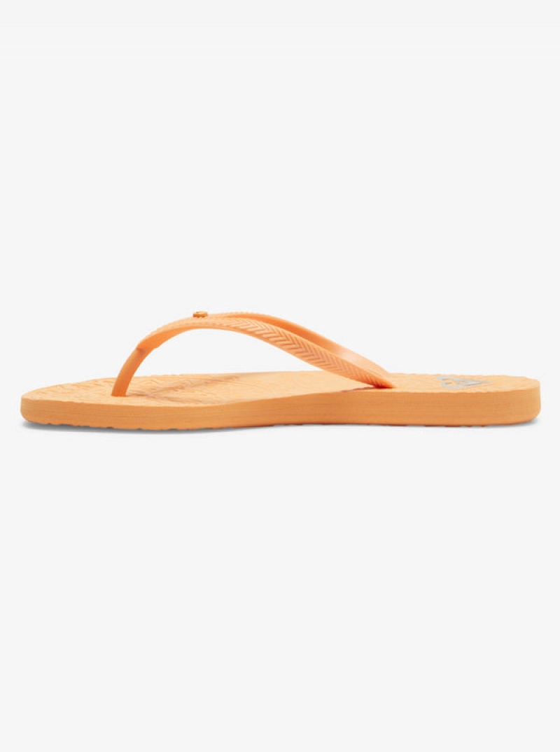 Roxy Antilles Flip Flops | VSFB-64217