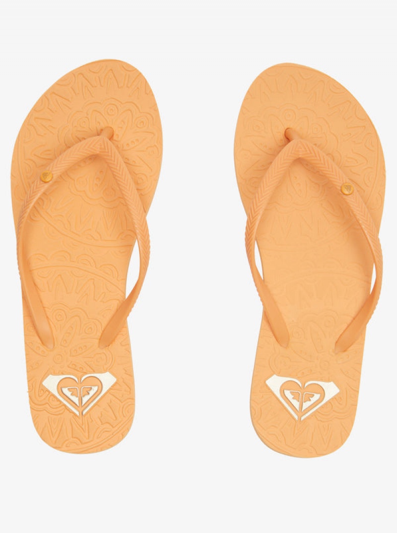 Roxy Antilles Flip Flops | VSFB-64217