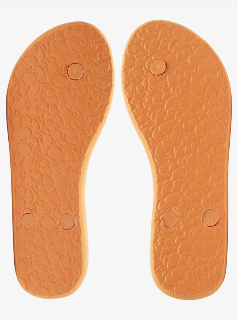 Roxy Antilles Flip Flops | VSFB-64217