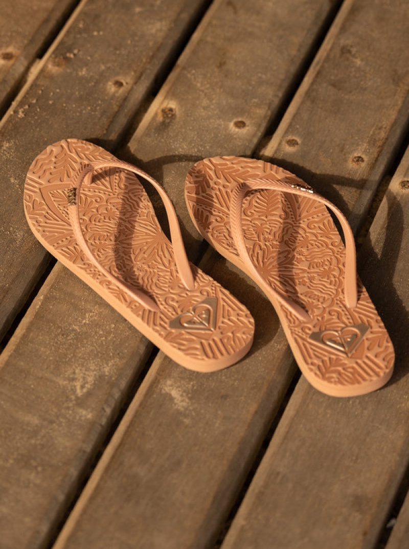 Roxy Antilles Flip Flops | ZFBX-70389