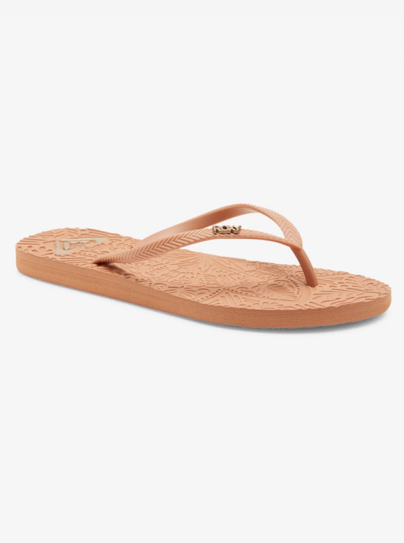 Roxy Antilles Flip Flops | ZFBX-70389