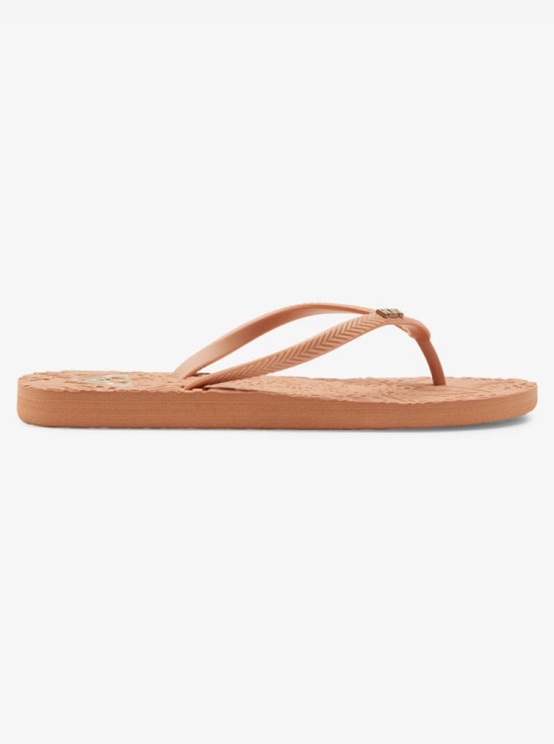 Roxy Antilles Flip Flops | ZFBX-70389