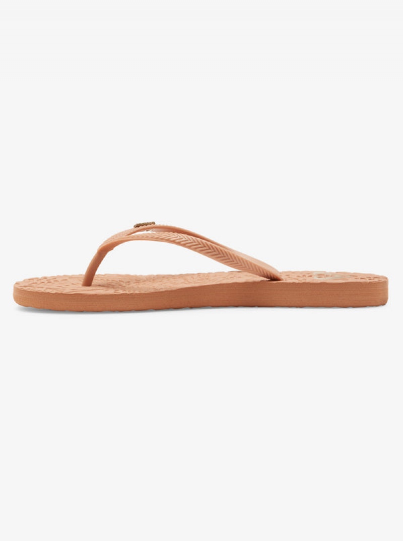 Roxy Antilles Flip Flops | ZFBX-70389