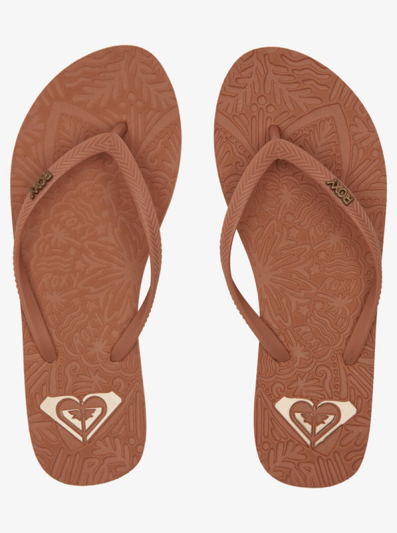 Roxy Antilles Flip Flops | ZFBX-70389