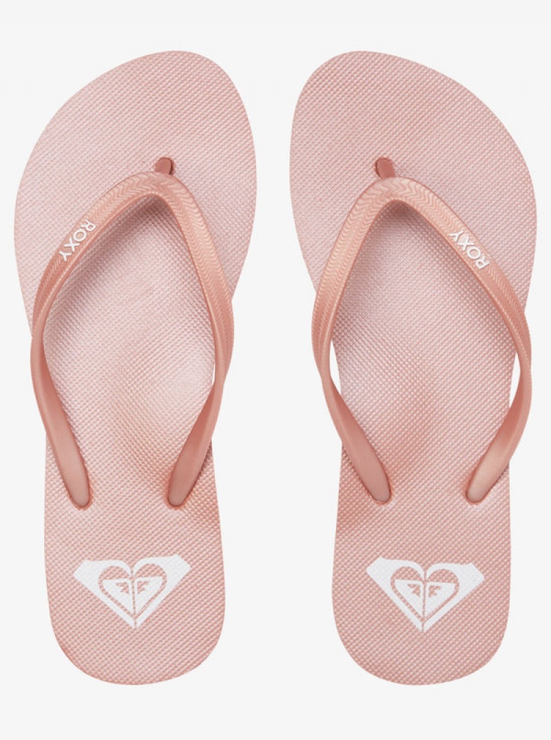 Roxy Azul Basic Flip Flops | LWXS-98574