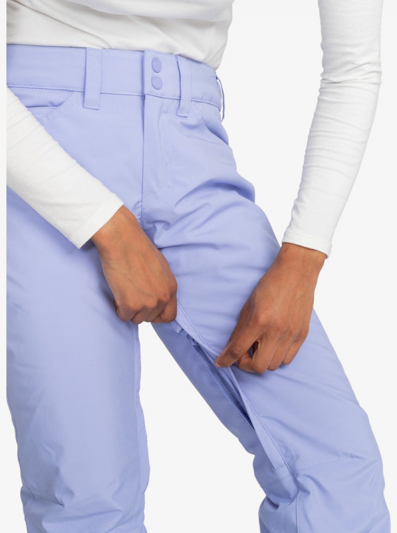 Roxy Backyard Technical Snowboard Pants | JQNP-18376