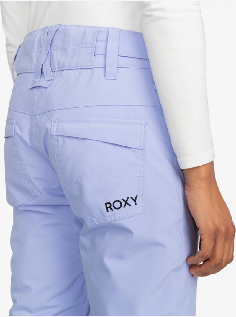 Roxy Backyard Technical Snowboard Pants | JQNP-18376