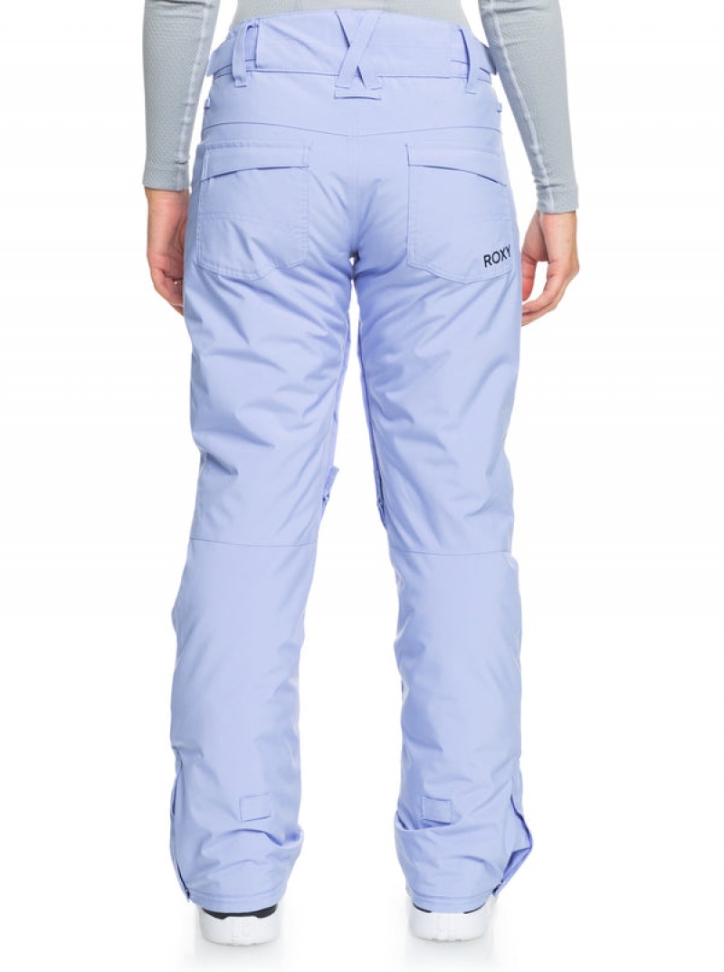 Roxy Backyard Technical Snowboard Pants | JQNP-18376