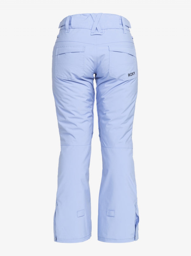 Roxy Backyard Technical Snowboard Pants | JQNP-18376