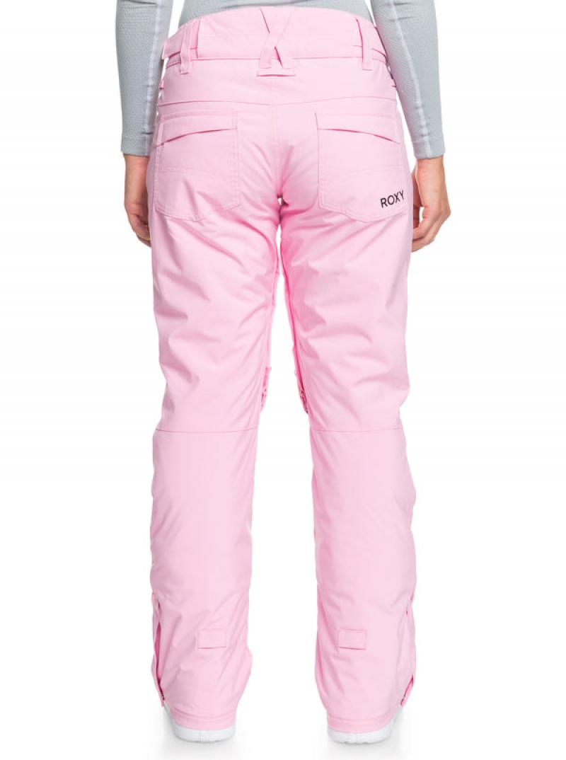 Roxy Backyard Technical Snowboard Pants | LUFM-73541