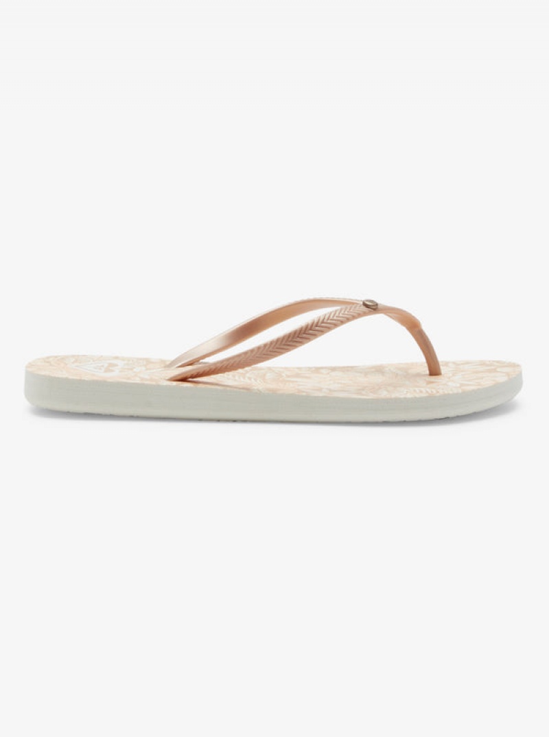 Roxy Bermuda Sandals | IEQT-63817