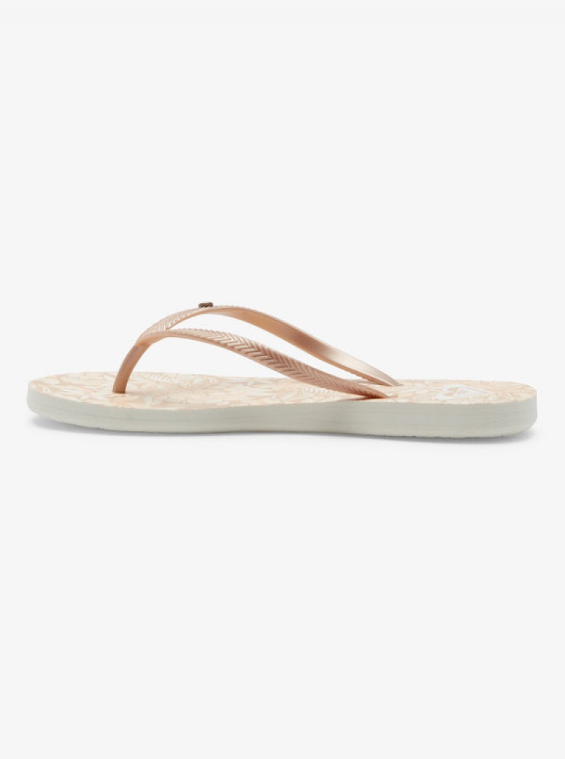 Roxy Bermuda Sandals | IEQT-63817