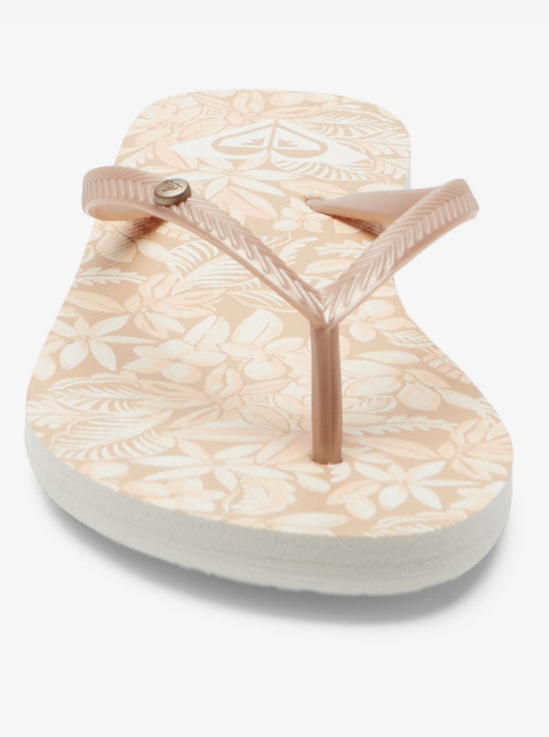 Roxy Bermuda Sandals | IEQT-63817