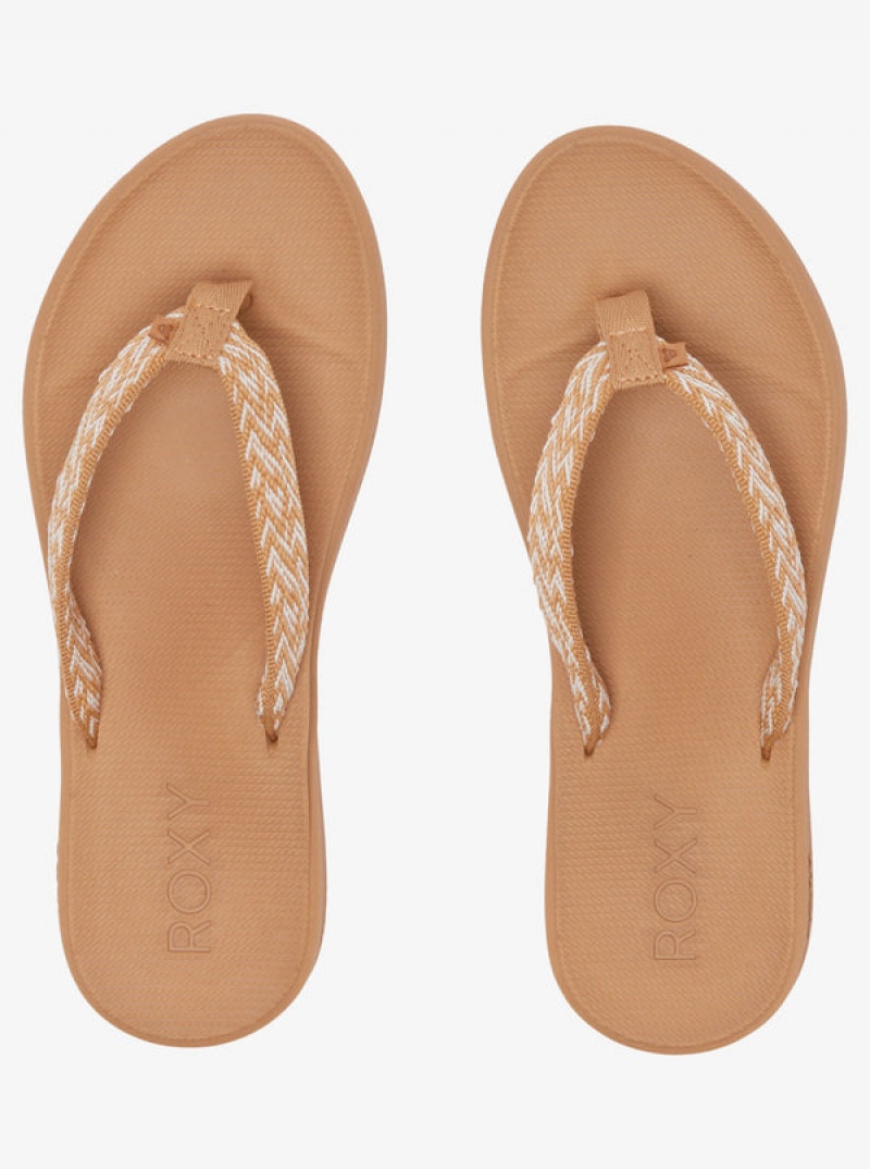 Roxy Clemente Sandals | ZOCS-25631