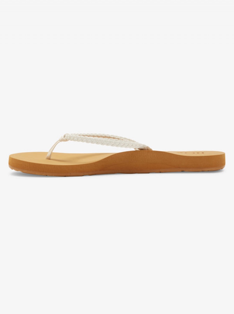 Roxy Costas II Flip Flops | GCSQ-28601