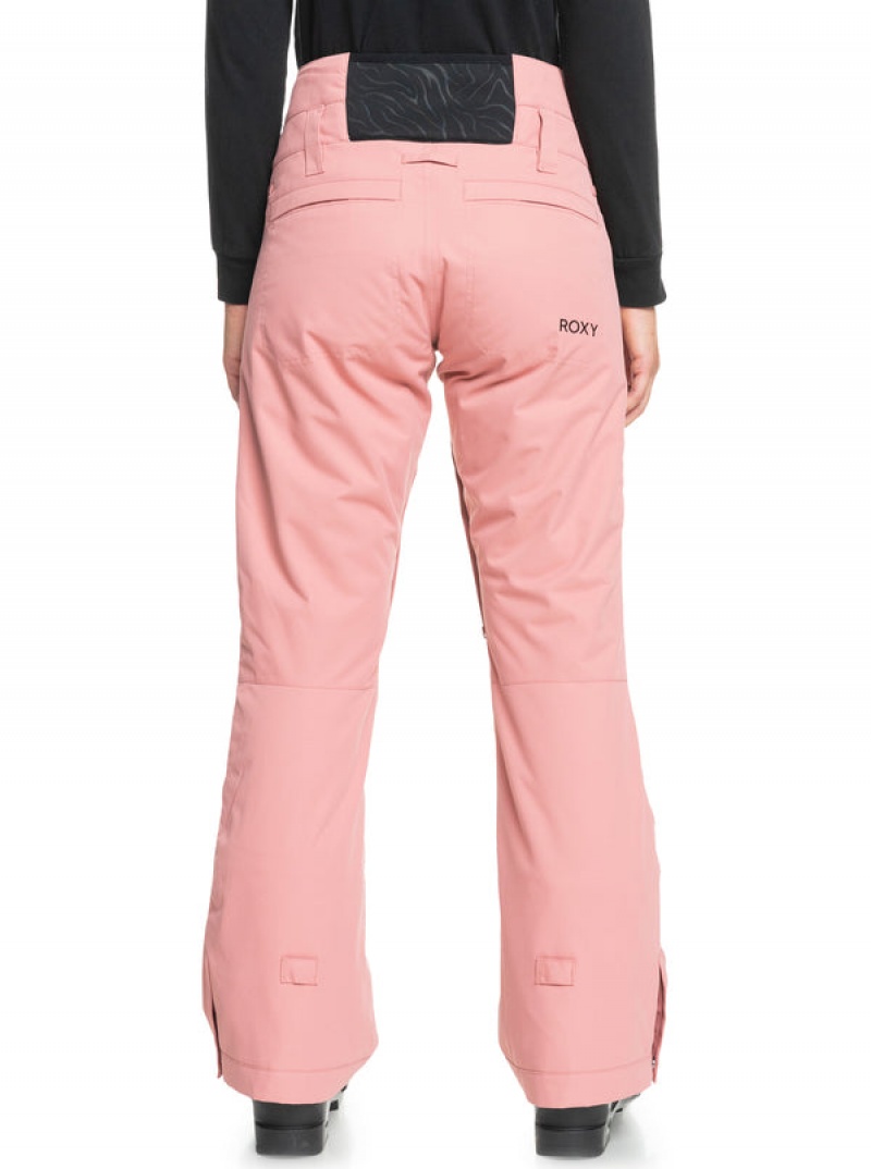 Roxy Diversion Technical Snowboard Pants | SDHN-52087