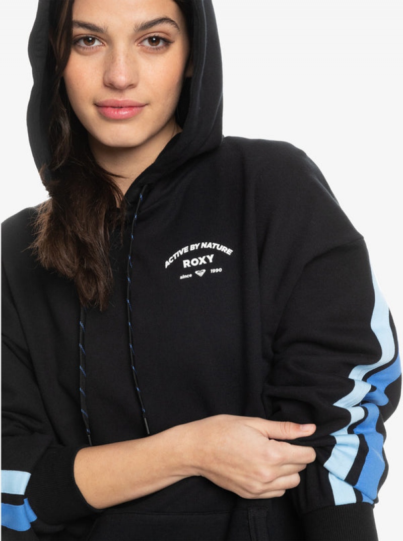 Roxy Essential Energy Band Hoodie | HWRJ-83241