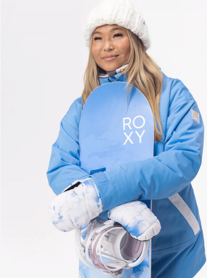 Roxy Flint Creek Technicalboard/Ski Gloves | RNIM-46780