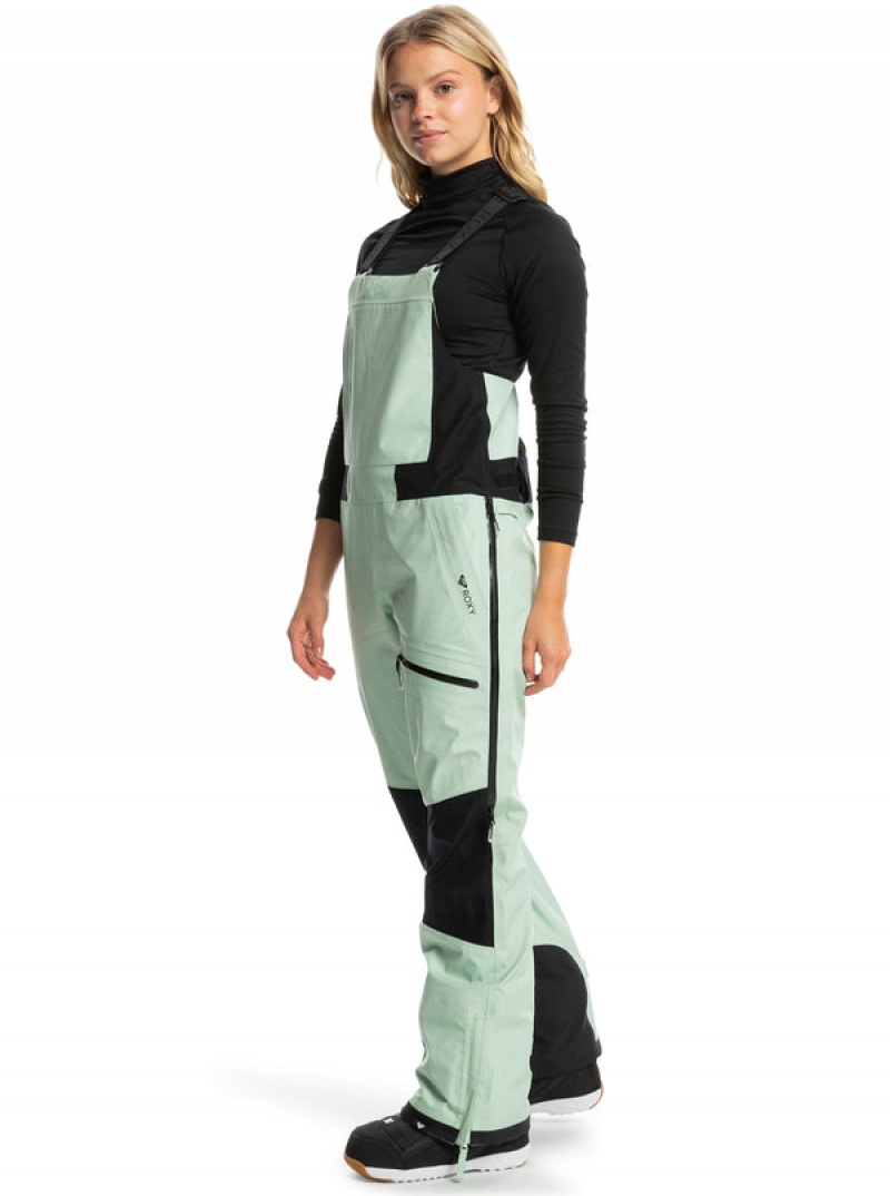 Roxy GORE-TEX® Lunalite 3L Technical Bib Snowboard Pants | GCQD-26158