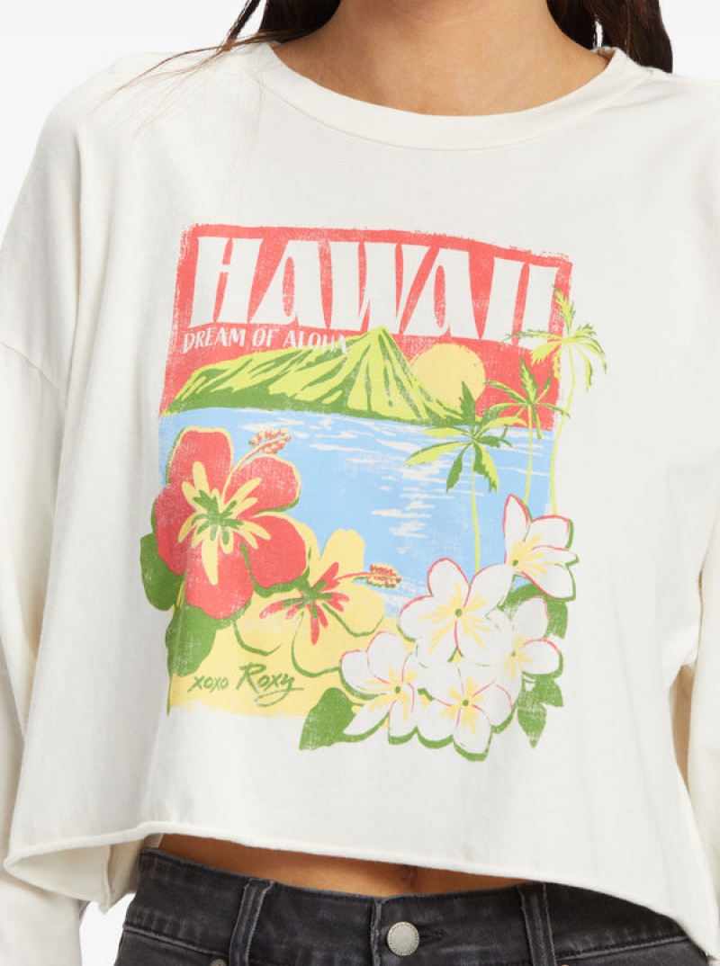 Roxy Hawaiian Vacay Olsc T Shirts | 68475THBV