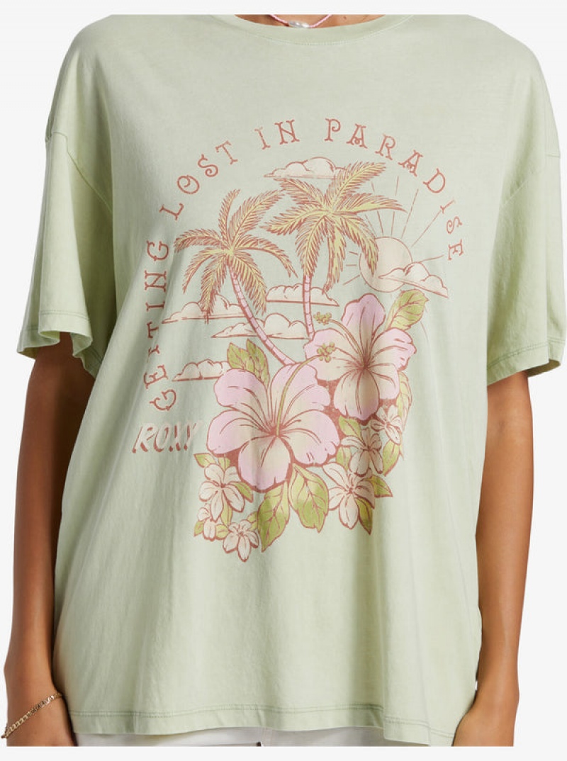 Roxy Hibiscus Paradise Oversized Boyfriend T Shirts | 01369KCHB