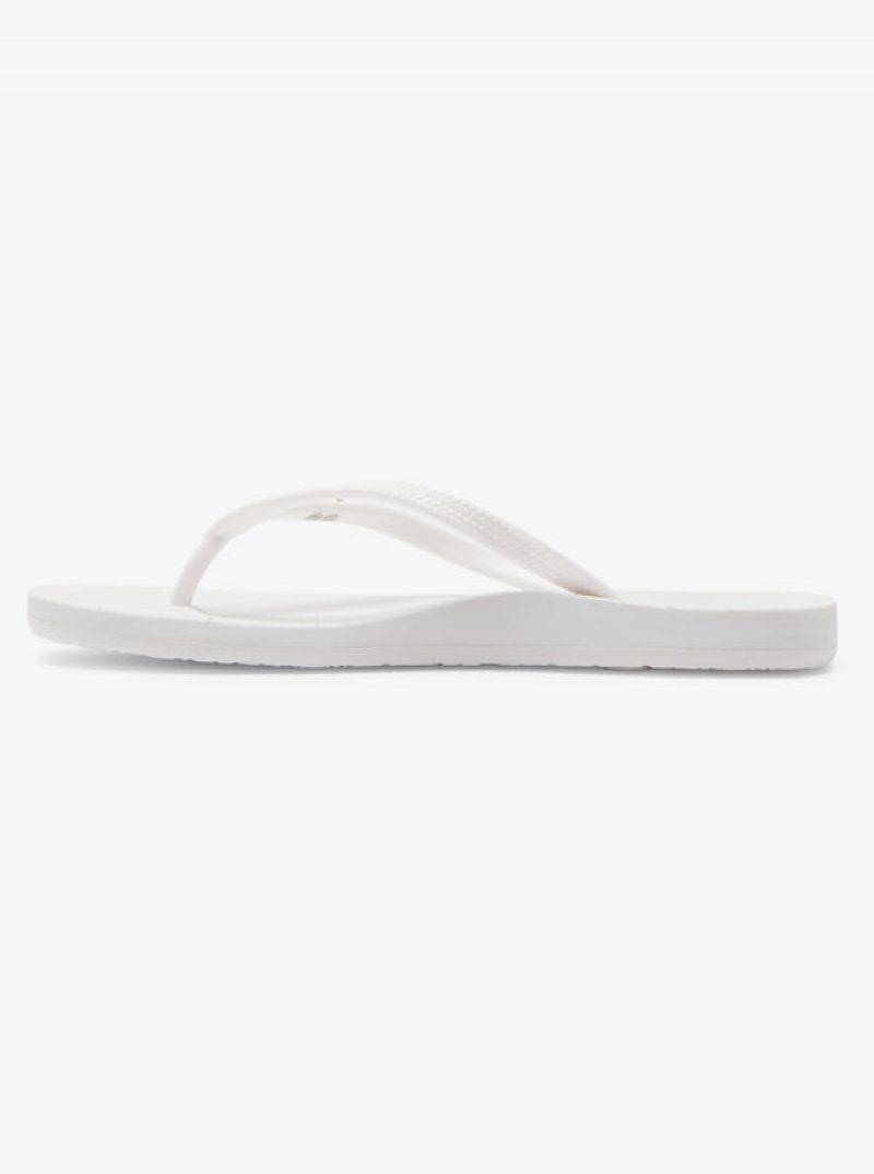 Roxy Jettie Flip Flops | VQOU-57160