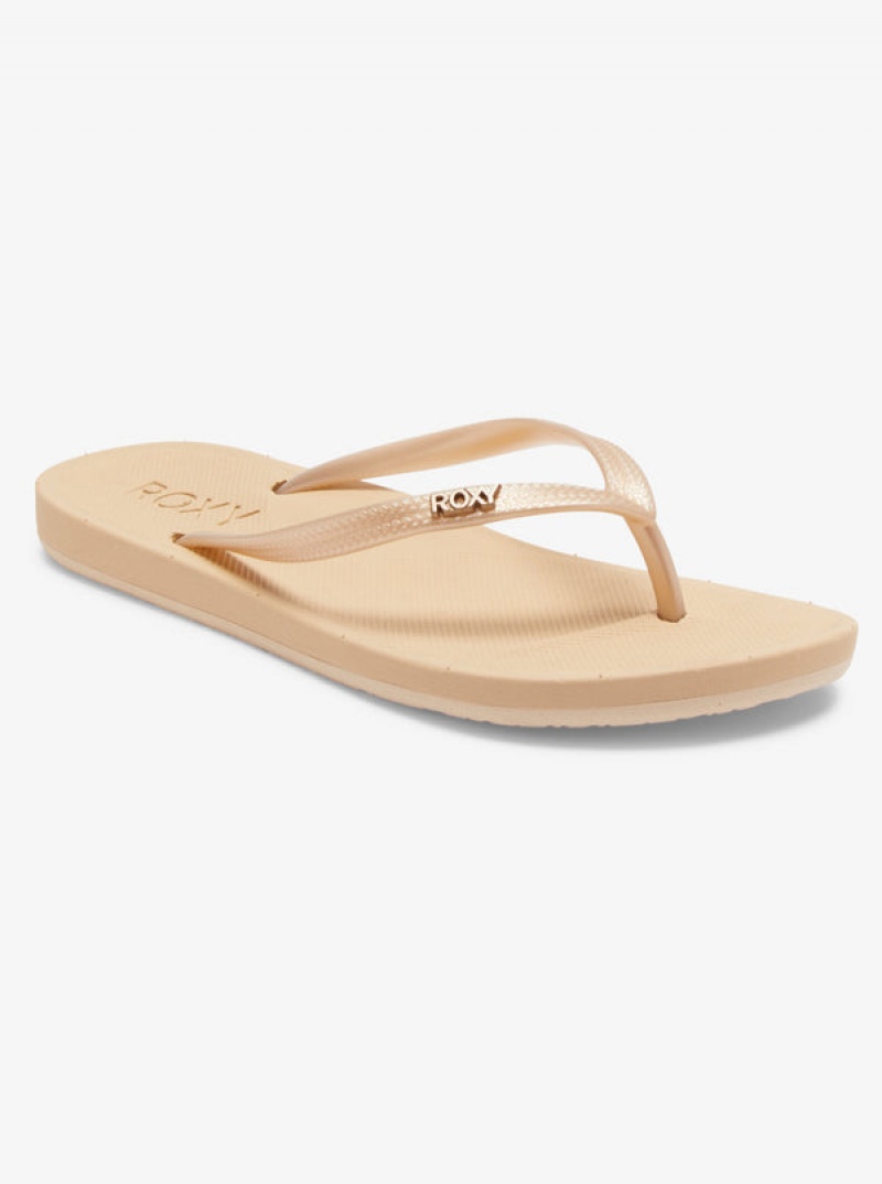 Roxy Jettie Flip Flops | XFRA-25076