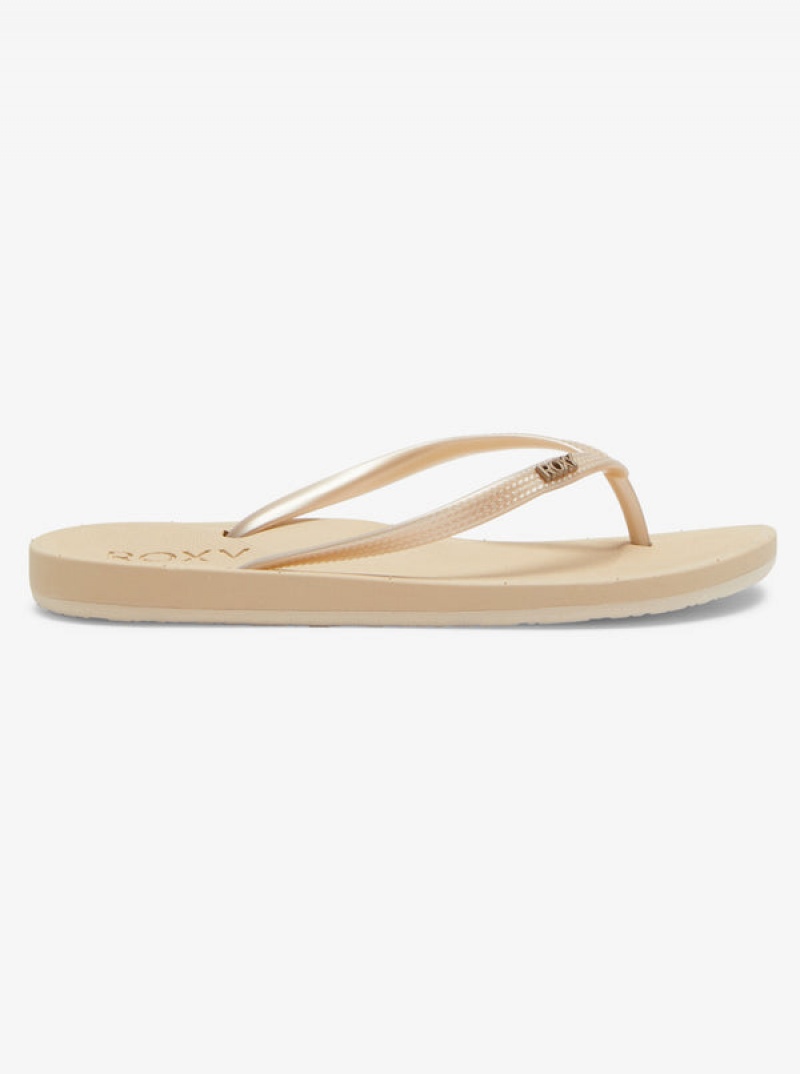 Roxy Jettie Flip Flops | XFRA-25076