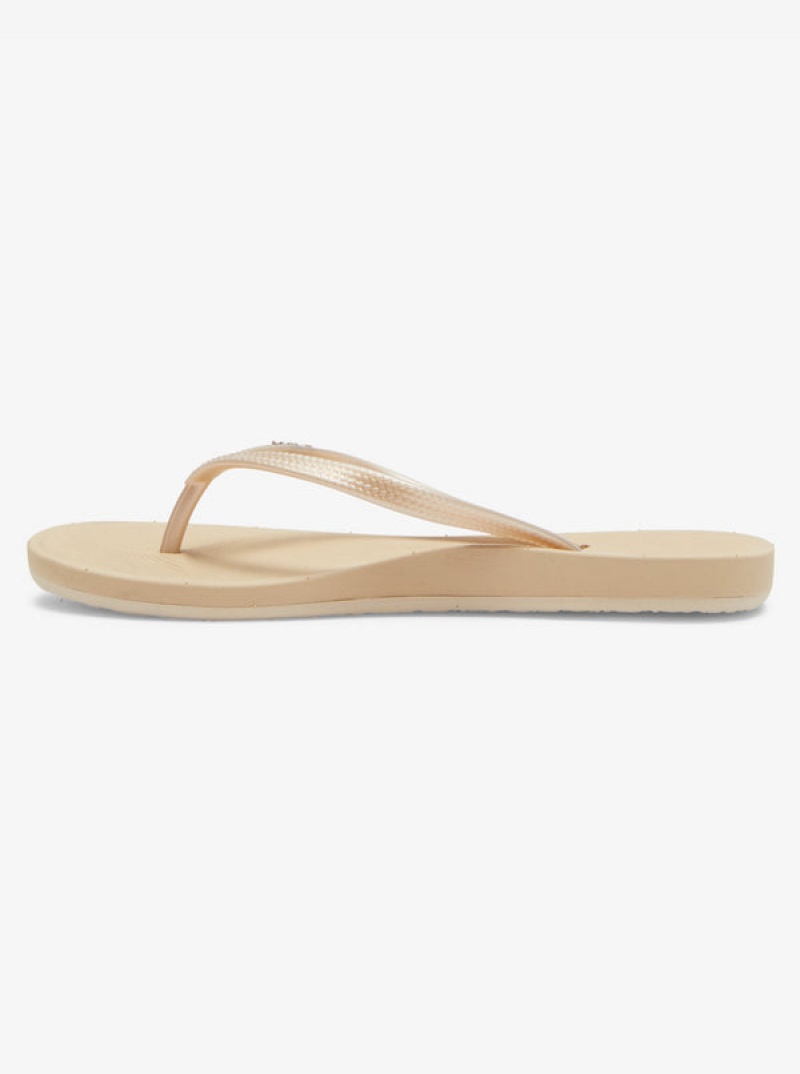 Roxy Jettie Flip Flops | XFRA-25076