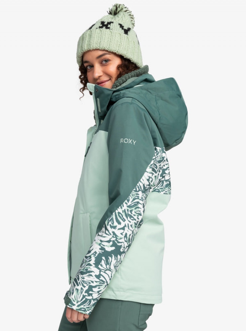 Roxy Jetty Block Technical Snowboard Jackets | KNIU-94837