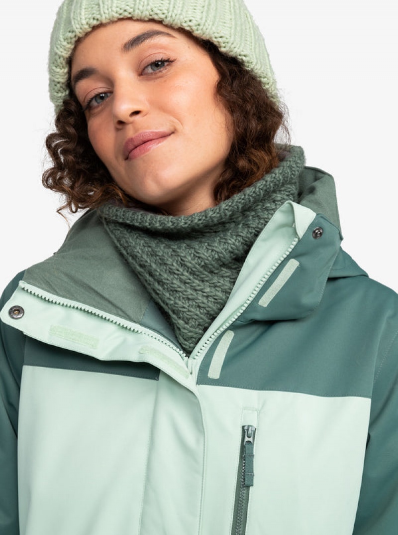 Roxy Jetty Block Technical Snowboard Jackets | KNIU-94837